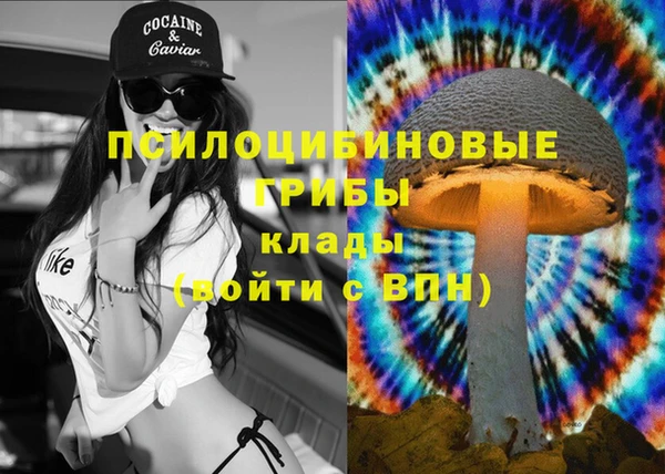 мет Алзамай