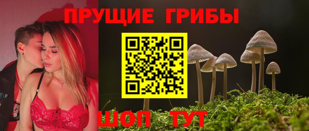 Псилоцибиновые грибы Magic Shrooms  Галлюциногенные грибы Psilocybine cubensis  Вход с VPN  Куйбышев 